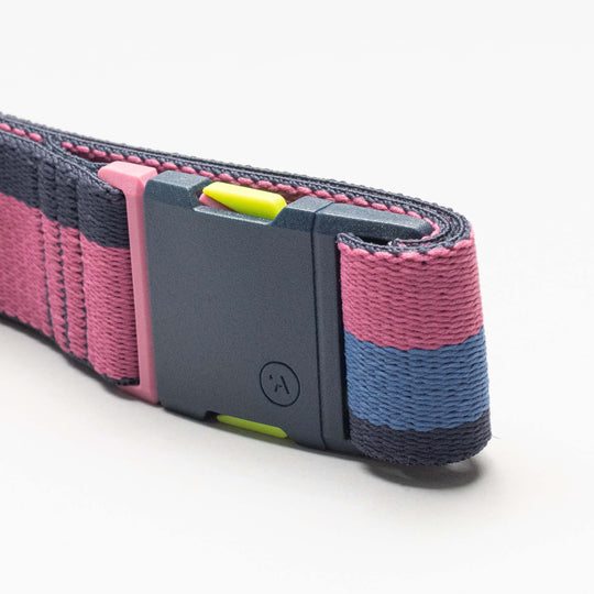 The Arcade Belts Sierra features a colorful elastic stretch design with pink, blue, and dark gray stripes, plus a black buckle accented in green—all shown close-up against a white background.